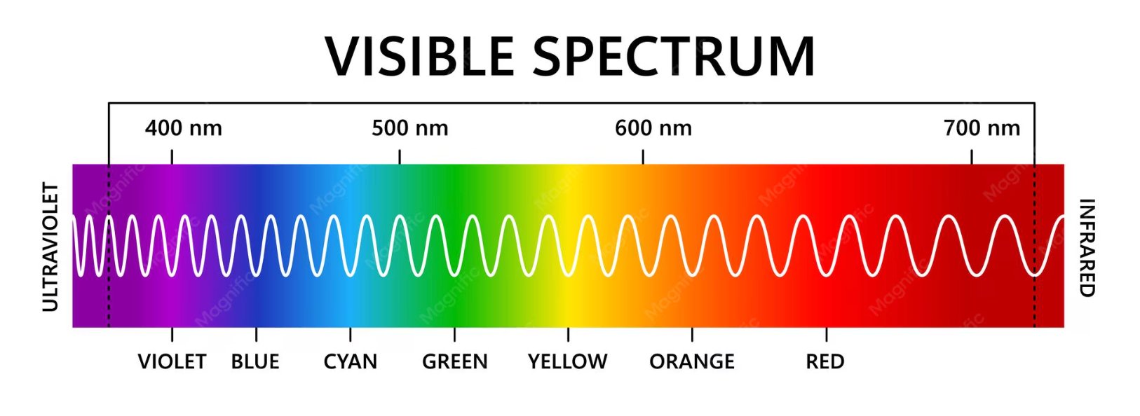 Diagram of the visible light spectrum, from violet through red to near-infrared, with wavelengths in nanometres